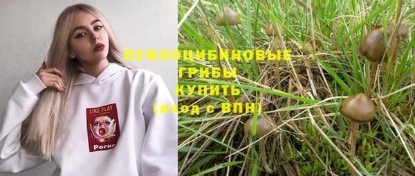 каннабис Арсеньев