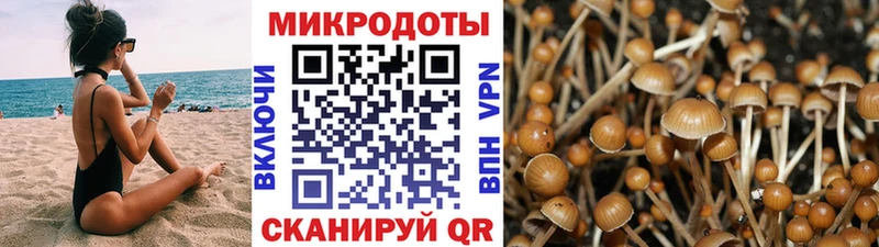 Псилоцибиновые грибы мицелий  Купить  Омутнинск 